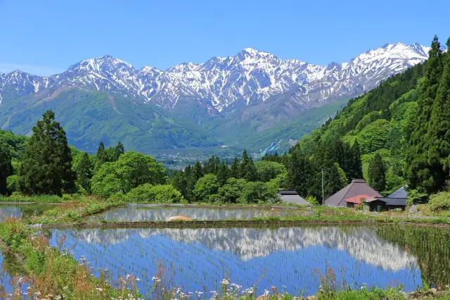 カミツレの宿 八寿恵荘