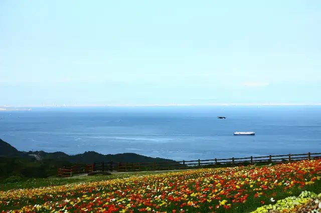 亀の井ホテル淡路島