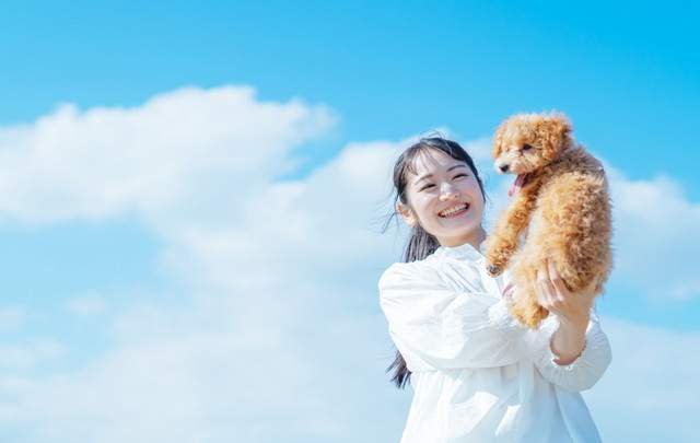 浜名湖わんわんパラダイス