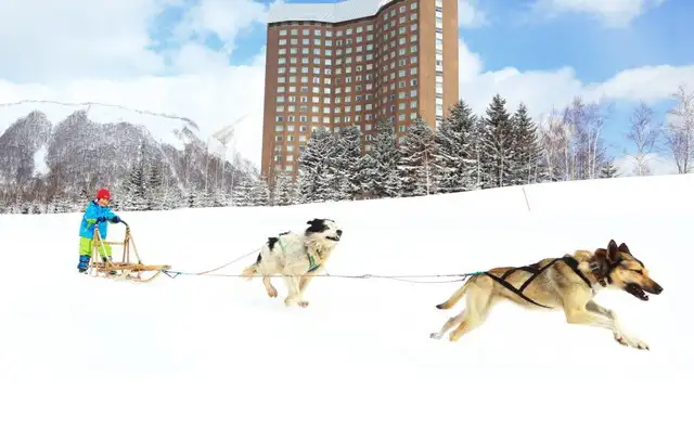 アクティビティ係🐶