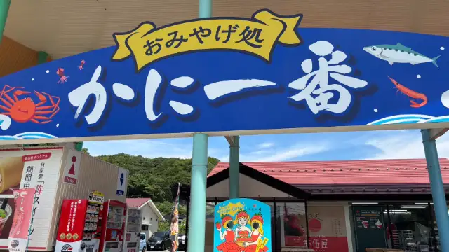 坂本屋瑠璃亭