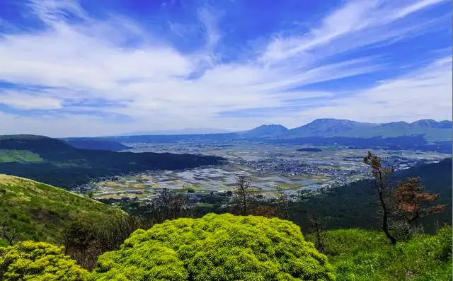 親和苑