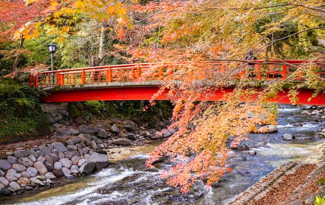 修善寺温泉　桂川
