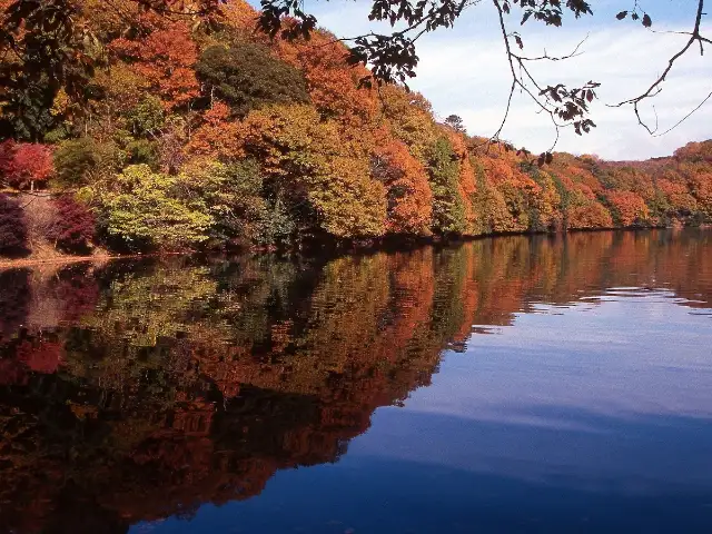 伊東園ホテル松川館