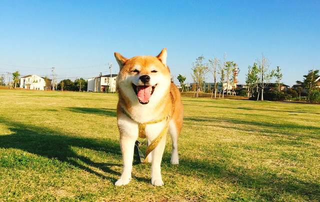 ゆるり西伊豆