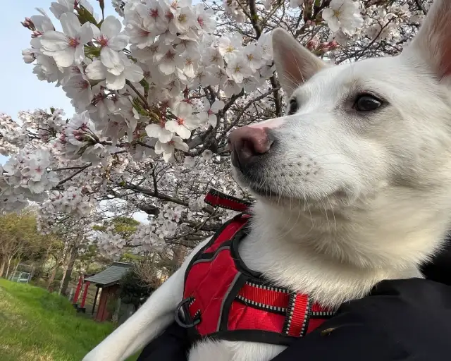 リトナ箱根