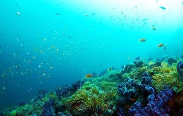 下田伊東園ホテルはな岬