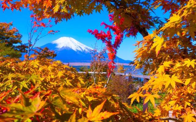 Wan's Resort 山中湖