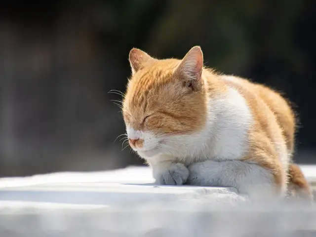 ★働きやすいと評判★