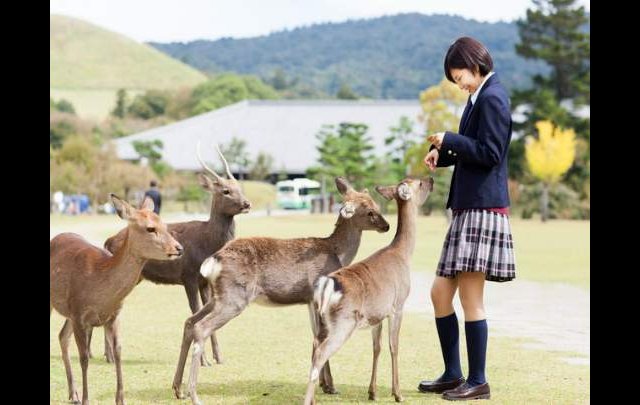 御宿　野乃奈良