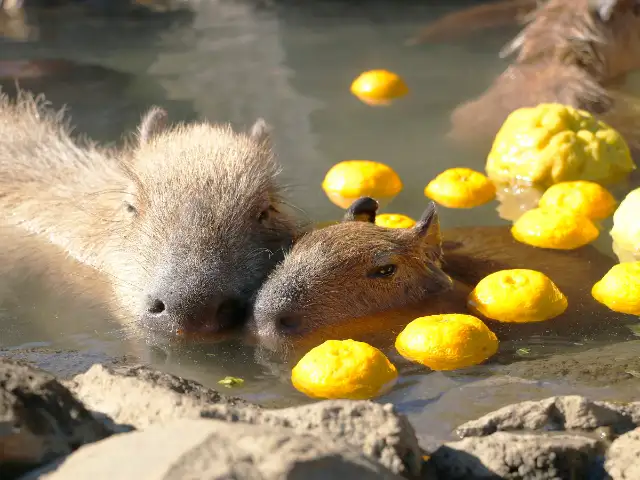伊東園ホテル稲取