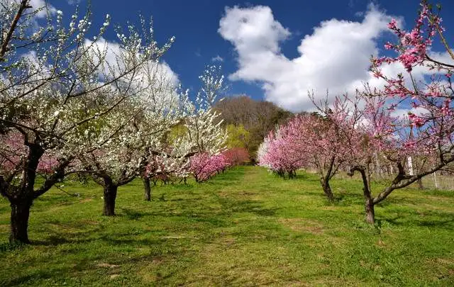 伊東園ホテル飯坂叶や