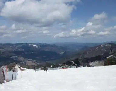 パークホテル白樺館（ｽｷｰｱｶﾃﾞﾐｰ）