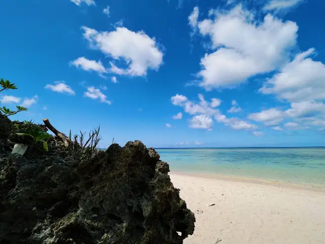 南の美ら花　ホテルミヤヒラ