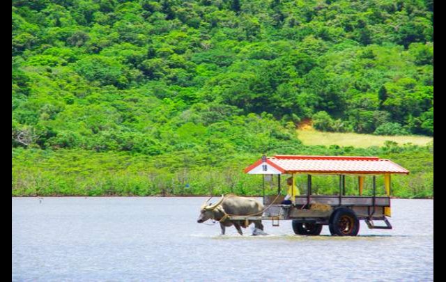 杜屋 西表島ホテル