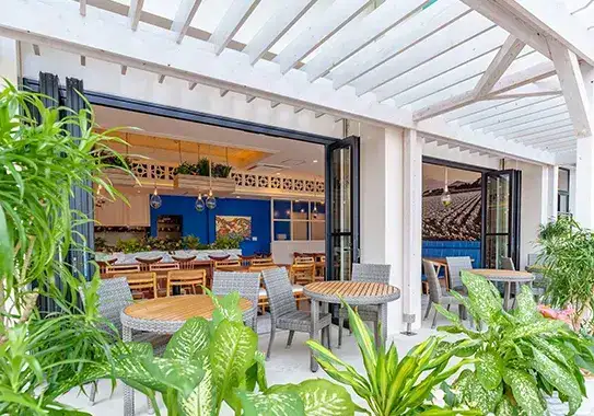 パスタハウス庭