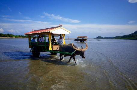西表島ジャングルホテルパイヌマヤ