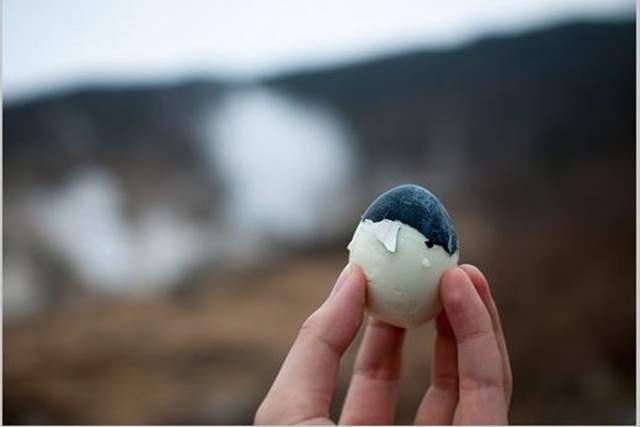 大涌谷くろたまご館