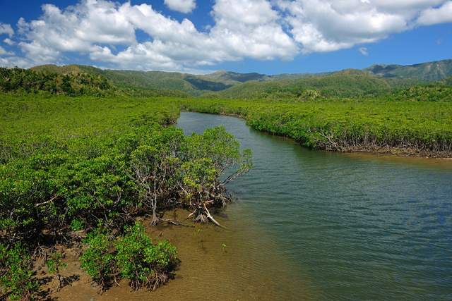 西表島ジャングルホテルパイヌマヤ