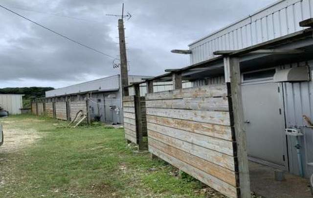 西表島ジャングルホテルパイヌマヤの寮画像