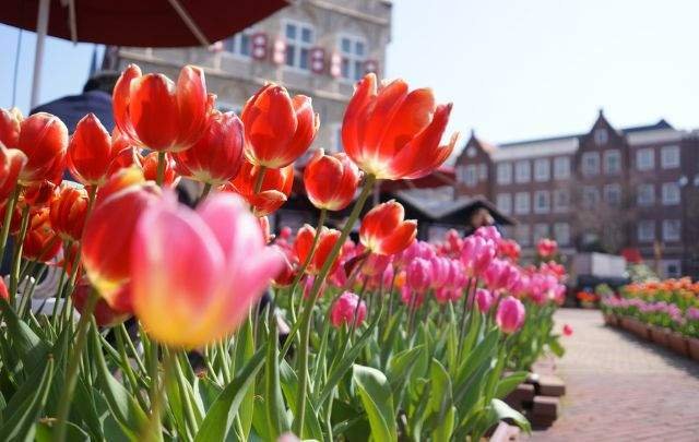 ハウステンボス