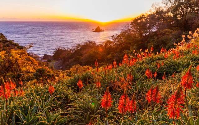 西伊豆松崎伊東園ホテル