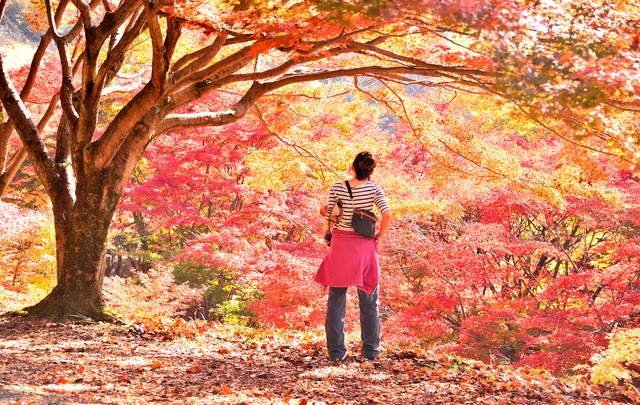 大江戸温泉物語Premium 鬼怒川観光ホテル