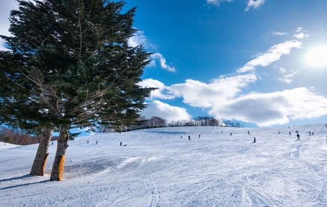 キロロリゾート