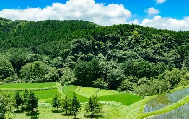 オーベルジュ ルーチェ 須崎