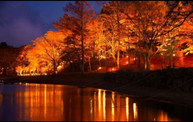 エクシブ山中湖