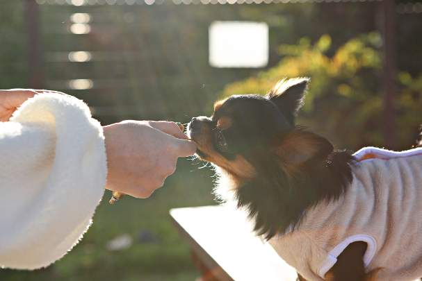 Wan's Resort 山中湖