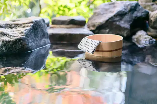 大江戸温泉物語 わんわんリゾート矢田屋松濤園