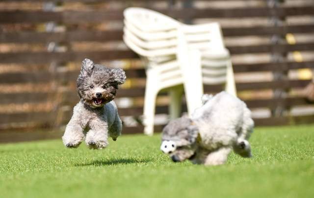 Wan's Resort 城ヶ崎海岸