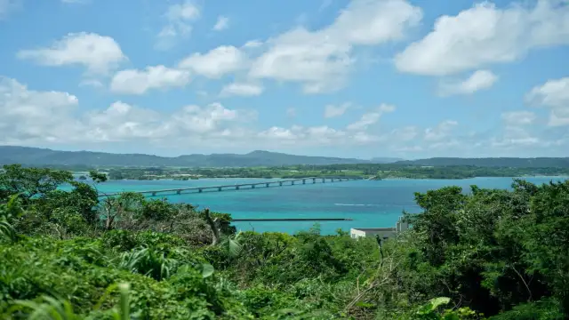 YAWNYARD Kouri Island