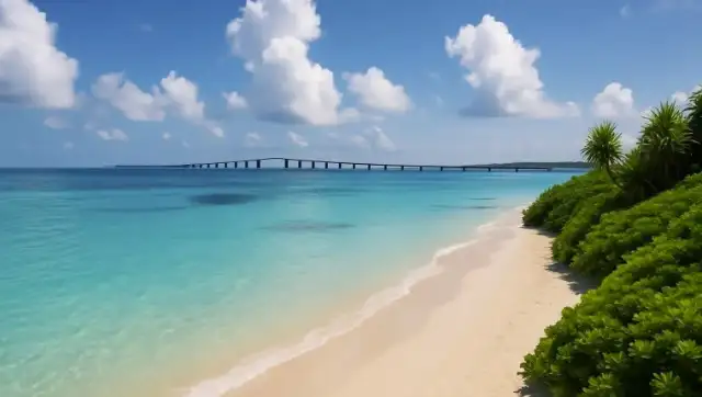 宮古島パラセーリングのパラダイス