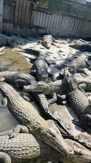 株式会社リモニー