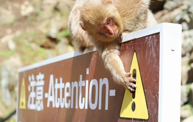 歴史の宿　金具屋