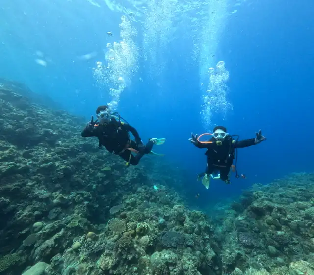 沖縄ﾀﾞｲﾋﾞﾝｸﾞと青の洞窟のｼｰﾓｰﾙ