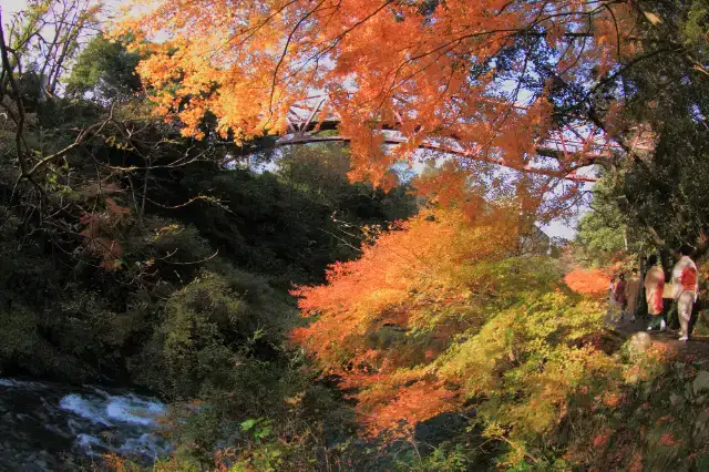 大江戸温泉物語 山中彩朝楽
