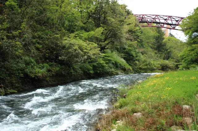 大江戸温泉物語Premium よしのや依緑園