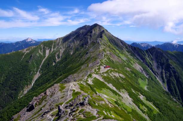 八ヶ岳わんわんパラダイス