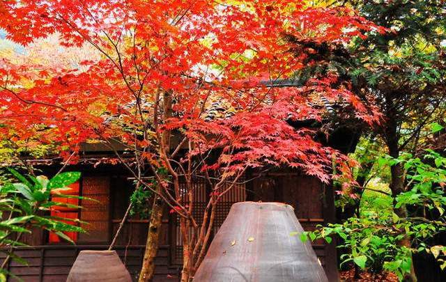 湯山荘　阿讃琴南