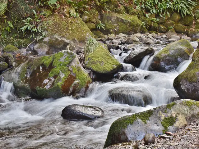 湯河原ホテル四季彩