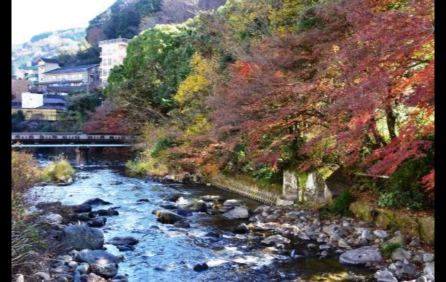 万葉の里　白雲荘