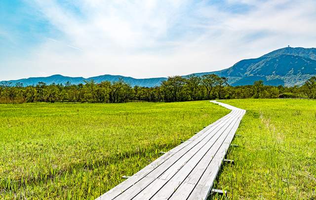料亭旅館　いちい亭