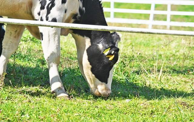 フォートリート＋那須高原