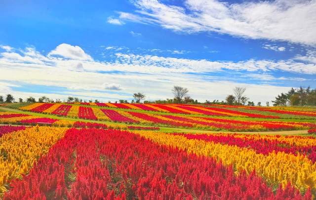 フォートリート＋那須高原