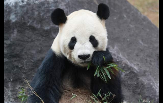 ドーミーイン上野・御徒町