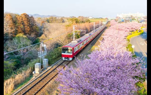 ラビスタ横須賀 観音崎テラス