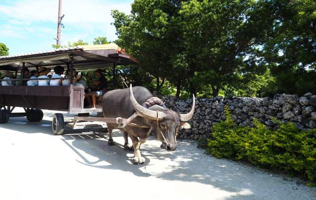 株式会社友利観光